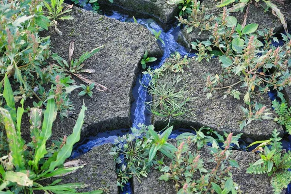 Water Oil Cracks Dried Earth — Stockfoto