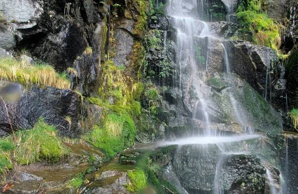 Small Waterfall Mount Rainier National Park Washington State Usa North — Stockfoto