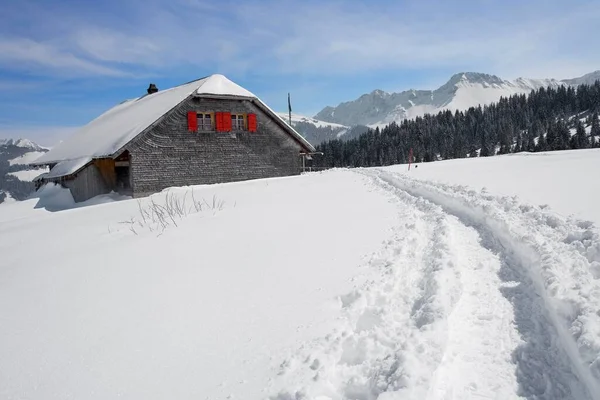 Trace Snow Shoe Hikers Canton Fribourg Switzerland Europe — Foto Stock