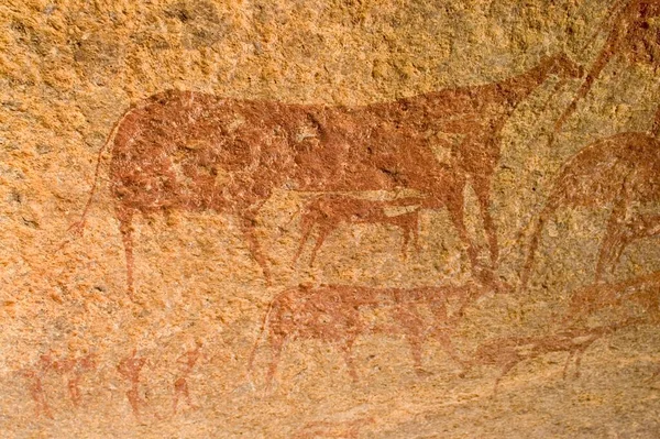 Prehistoric Rock Painting Jebel Uweinat Jabal Awaynat Libya Africa — Stock Fotó