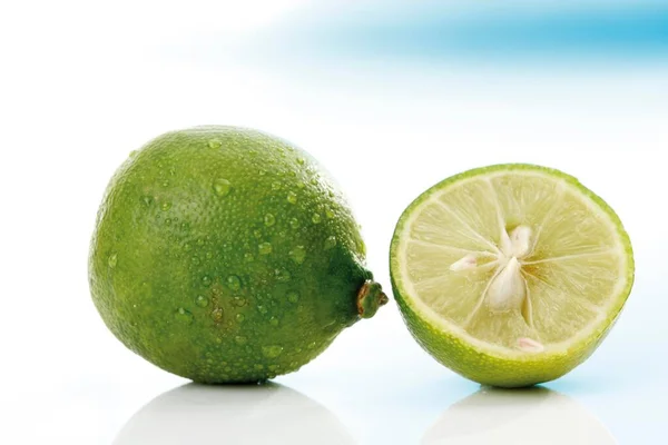 Limequat Citrus Floridana Close View — Stock Fotó