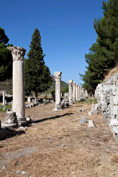 Kolommen Tetragonos Agora Van Efeze Izmir Turkije Azië — Stockfoto
