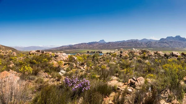 Landscape Ceder Mountains Clanwilliam Northern Cape South Africa Africa — Foto de Stock