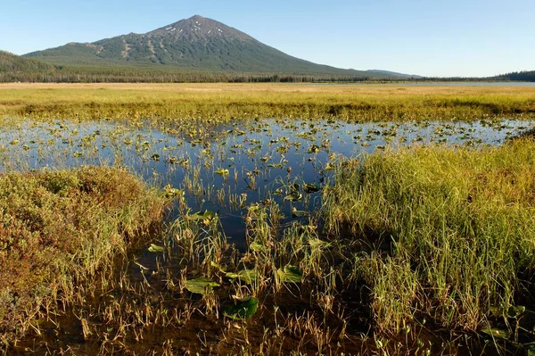 Sparks Lake Mount Bachelor Volcano Cascade Range Oregon Usa North — Photo