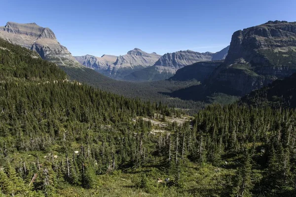 Buzul Ulusal Parkı Ndaki Orman Dağlar Montana Birleşik Devletler Kuzey — Stok fotoğraf