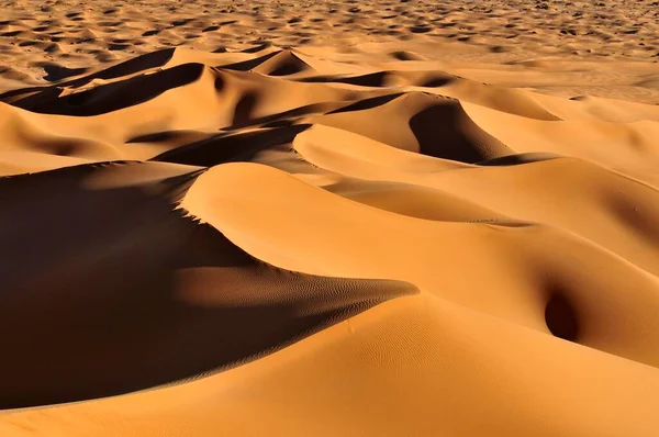 Ochtend Licht Zandduinen Bij Erg Tihoulahoun Immidir Algerije Sahara Noord — Stockfoto