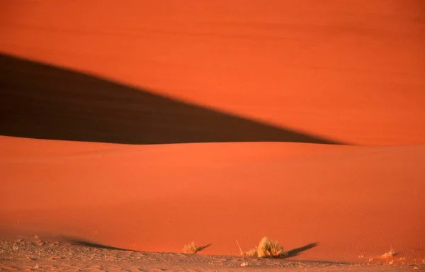 Sand Dune Sossusvlei Namib Naukluft Park Namibië Afrika — Stockfoto