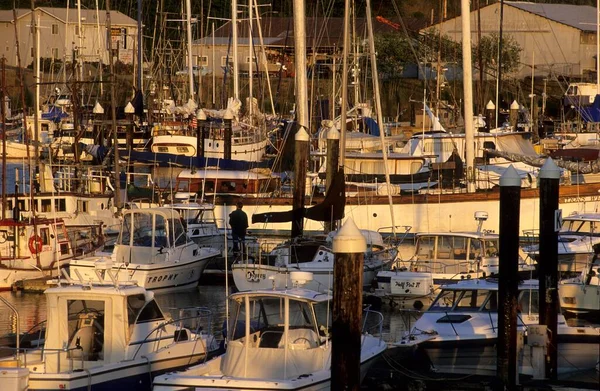 Brookings Harbor Highway 101 Oregon Usa North America — Photo