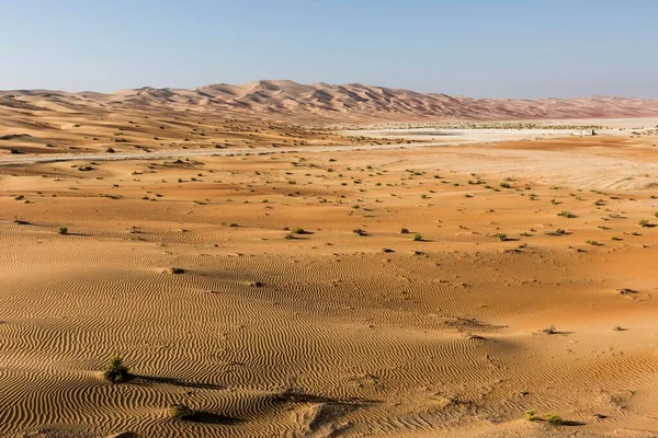 Sanddünen Der Wüste Der Nähe Von Hamam Rub Khali Oder — Stockfoto