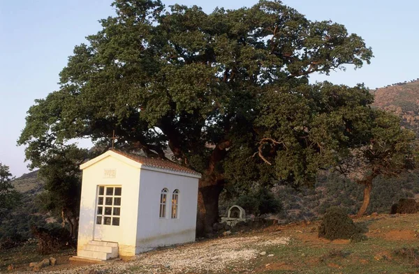 Casa Velha Sombrio Casas Escuras Com Janelas Escuras E Uma Fachada De  Desmoronamento Foto de Stock - Imagem de perspectiva, casa: 152766732