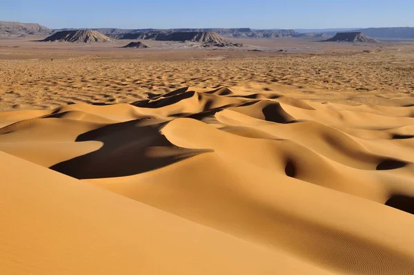 Утреннее Освещение Песчаных Дюнах Erg Tihoulahoun Immidir Algeria Sahara North — стоковое фото