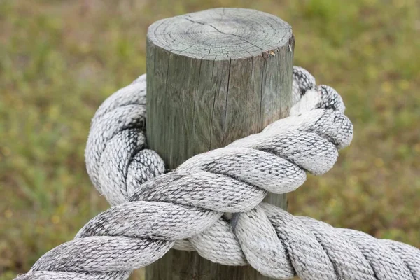 Rope looped around a stake