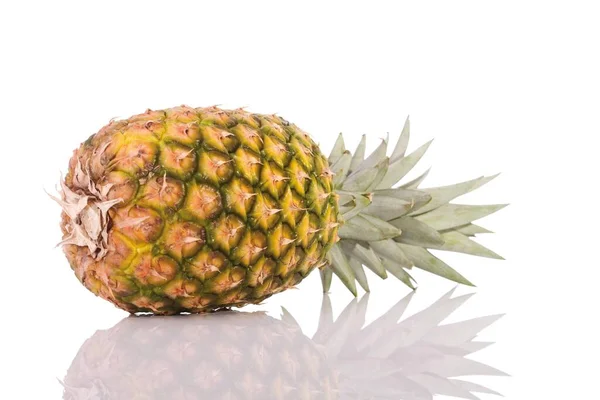 Ananas Frukt Närbild — Stockfoto