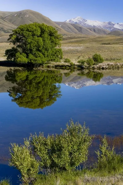 Water Reflections Trees Mountains Lake Hakatere South Island New Zealand — Photo