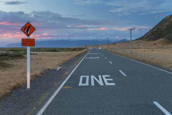 Warning Sign Caution Penguins Coastal Road Dusk Cape Palliser Wellington — Stockfoto