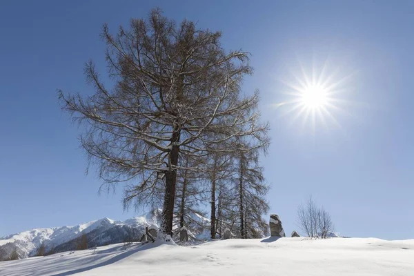 Winterlandschap Karwendelgebergte Seefeld Tirol Oostenrijk Europa — Stockfoto