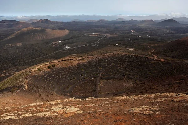 View Montaa Guardilama Range North Wine Growing Region Geria Volcanic — Zdjęcie stockowe