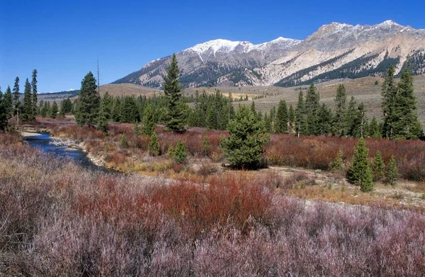 Big Wood River Valley Área Recreação Nacional Sawtooth Idaho Eua — Fotografia de Stock