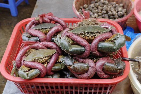 Caranguejos Vivos Mercado Peixe Hoi Vietname Ásia — Fotografia de Stock
