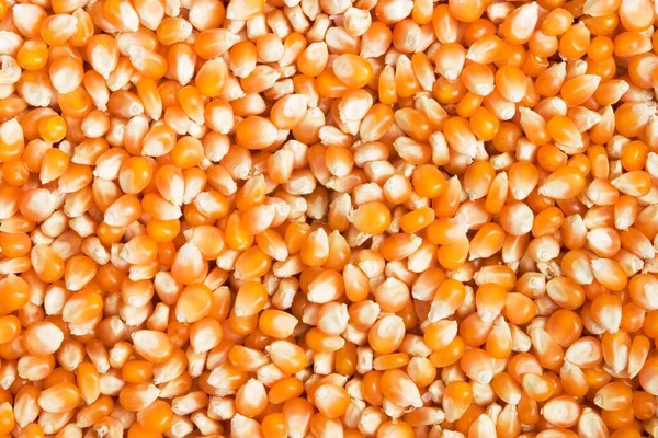 View Corn Grains Food Background — Fotografia de Stock