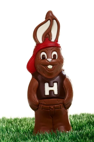 Cool Chocolate Easter Bunny — Stockfoto