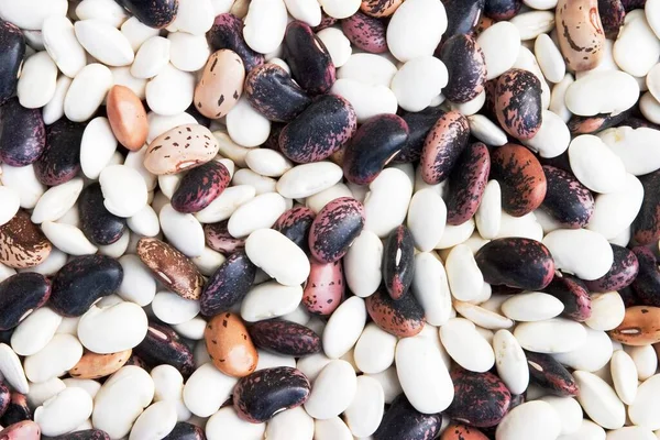 Different Types Dried Beans Background — Foto de Stock