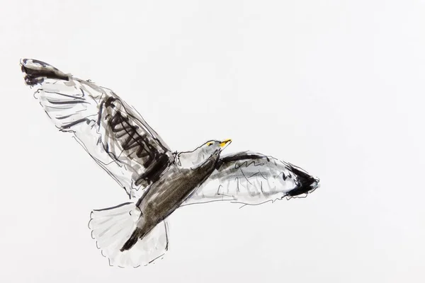 Flying Seagull Drawing Artist Gerhard Kraus Kriftel — Zdjęcie stockowe