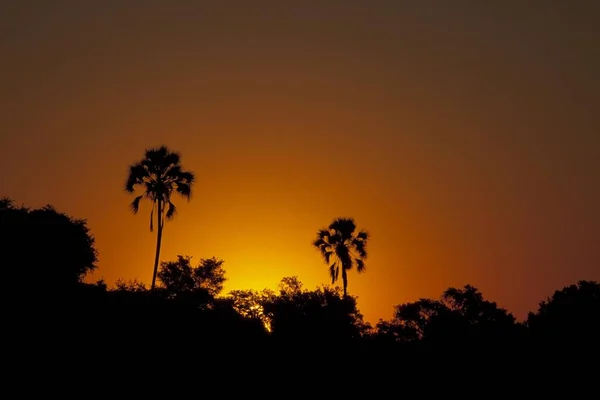 Amazing Sunset Southern Africa — Stock Photo, Image
