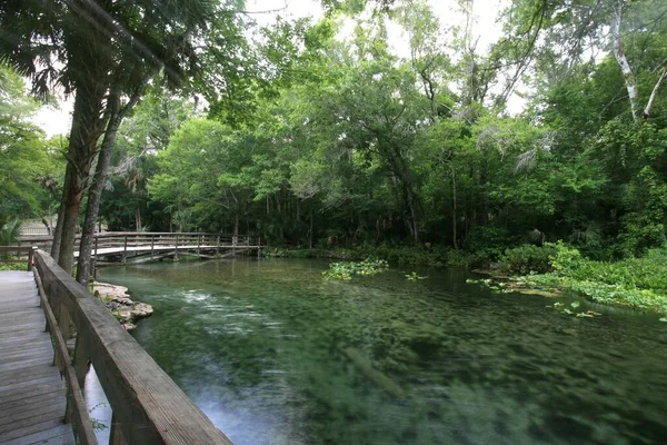 Wekiwa Springs Berrak Sularında Kanolar Florida Abd Kuzey Amerika — Stok fotoğraf