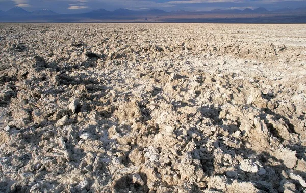 Salt Crust Salar Atacama Atacama Desert Chile South America — Stockfoto