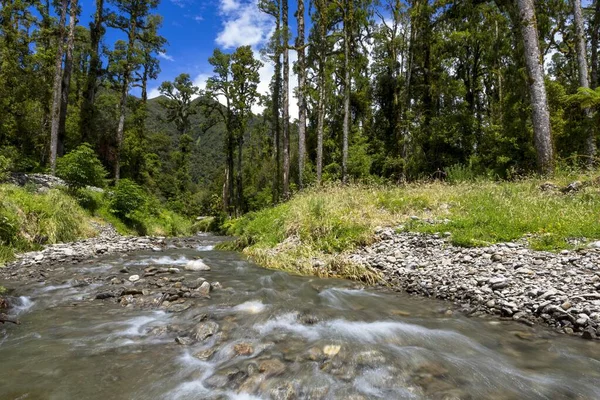 Blackwater Creek Douglas Range West Coast Region New Zealand Oceania — Stockfoto