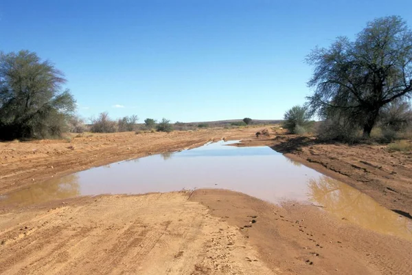 Bad Dirt Road Big Waterpuddle Namibia — Stockfoto