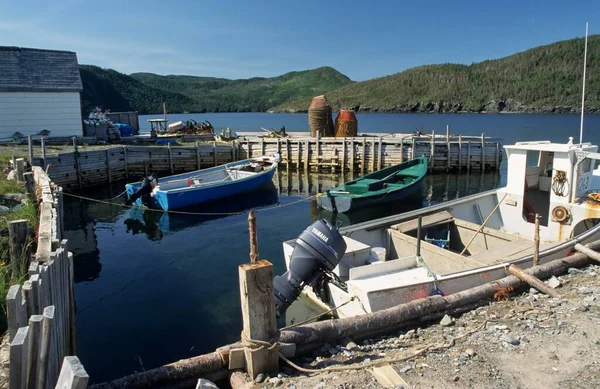 Small Fishing Harbour Norris Point Newfoundland — Stockfoto