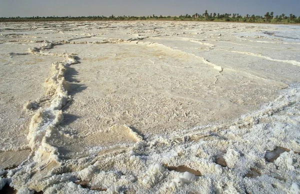 Sabkhat Salt Pan Oasis Bzemah Bzimah — Stockfoto