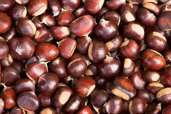 Chestnuts Background Close View —  Fotos de Stock