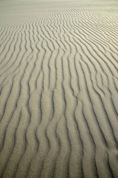 Sand Ripples Kniepsand Beach Amrum Island Nordfriesland North Frisia Schleswig — Stockfoto
