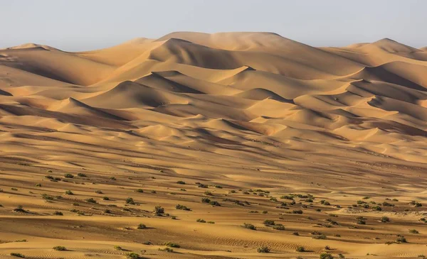 Sand Dunes Desert Hamam Rub Khali Empty Quarter United Arab — Foto de Stock