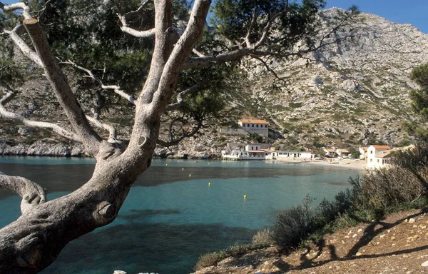 Calanque Sormiou Provence France Europe — 图库照片