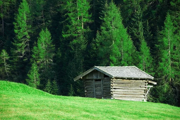 Cabin Barn Meadow Stubai Valley Tyrol Austria Europe — Stockfoto