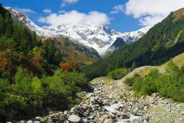 Alpine Scenery Stubai Valley Tyrol Austria Europe — Stockfoto