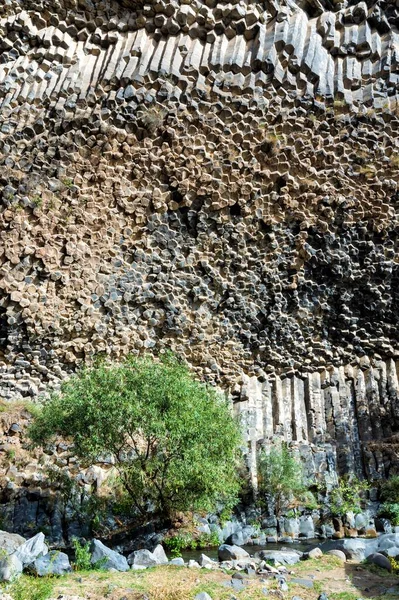 Steinsinfonie Basaltsäulenbildung Entlang Der Garni Schlucht Provinz Kotayk Armenien Asien — Stockfoto