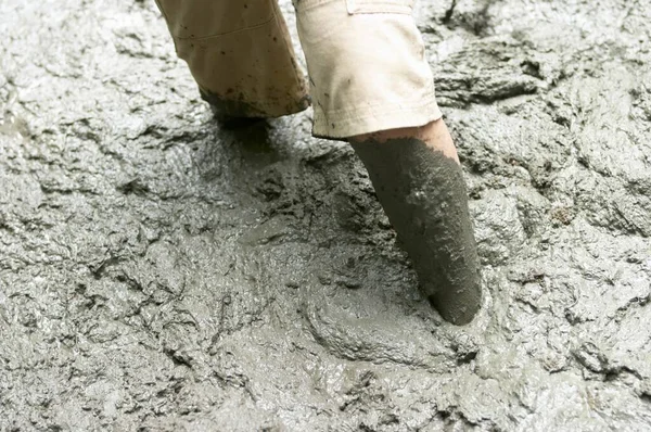 Wade Mud Legs Close View — Φωτογραφία Αρχείου