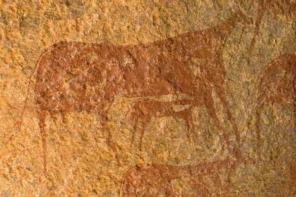 Lukisan Batu Prasejarah Jebel Uweinat Jabal Awaynat — Stok Foto