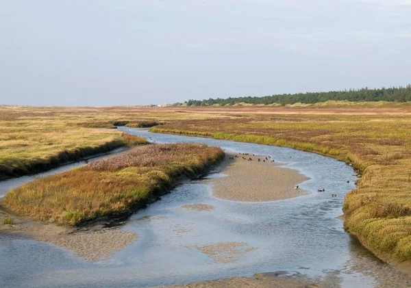 Tidal Creek Salt Marshes Front Peter Ording Beach Eiderstedt Peninsula — Fotografia de Stock