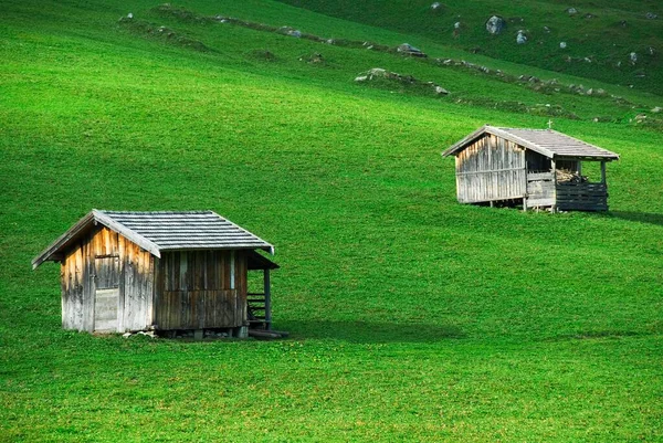 Cabin Barns Meadow Stubai Valley Tyrol Austria Europe — Stockfoto