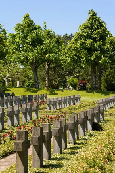 Berne Sviçre Avrupa Üniformalı Mezarları Olan Belediye Mezarlığı — Stok fotoğraf