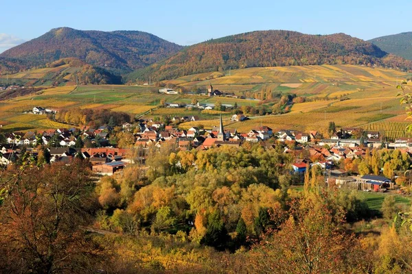 Vinice Podzim Siebeldingen Sdliche Weinstrae Falcký Les Porýní Falcko Německo — Stock fotografie