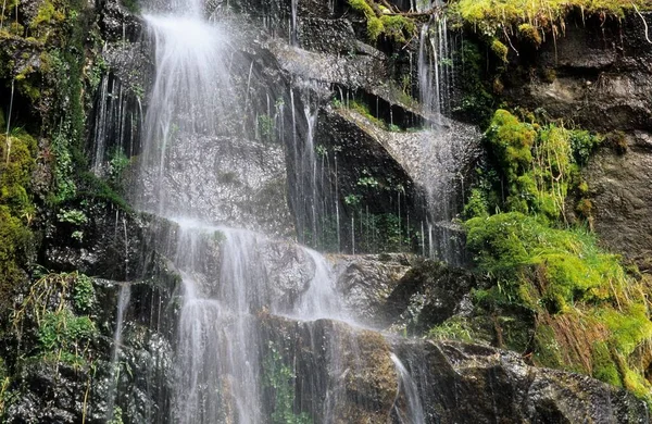 Малый Водопад Национальном Парке Маунт Рейнир — стоковое фото