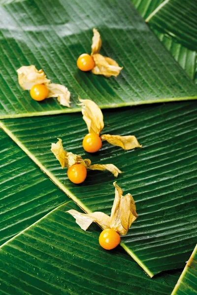 Groselha Cabo Physalis Frutos Com Cascas Folhas Banana — Fotografia de Stock