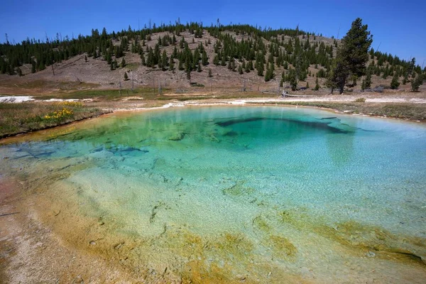 Hot Spring Midway Geyser Basin Yellowstone National Park Wyoming Usa — Foto de Stock